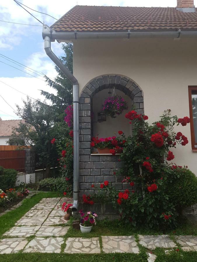Rita Vendeghaz Apartment Ciumani Bagian luar foto